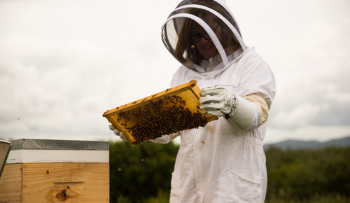 Could Manuka honey help fight infections after surgery?