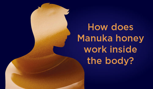 How does Manuka honey work inside the body?