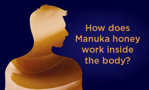 How does Manuka honey work inside the body?