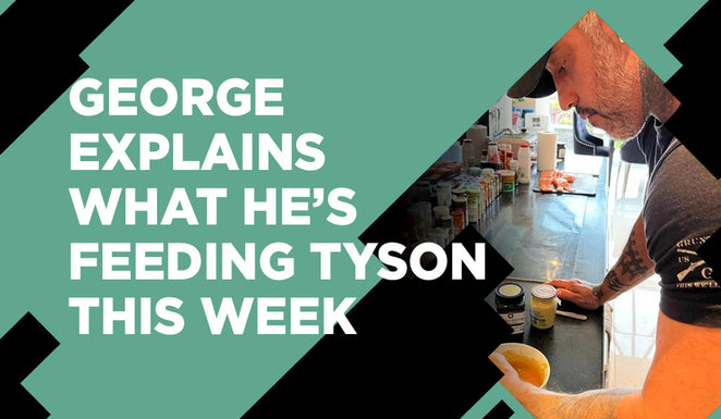 George explains what he's feeding Tyson Fury this week