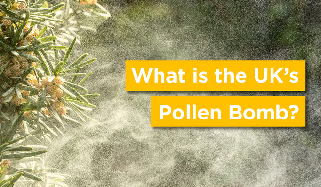 WHAT IS THE UK’S POLLEN BOMB?