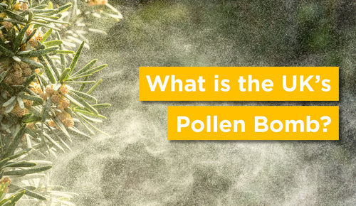 What is the UK's Pollen Bomb