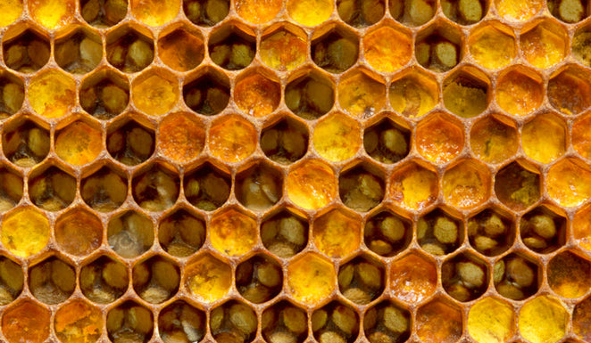 Skincare Benefits of Royal Jelly