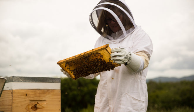 Could Manuka honey help fight infections after surgery?