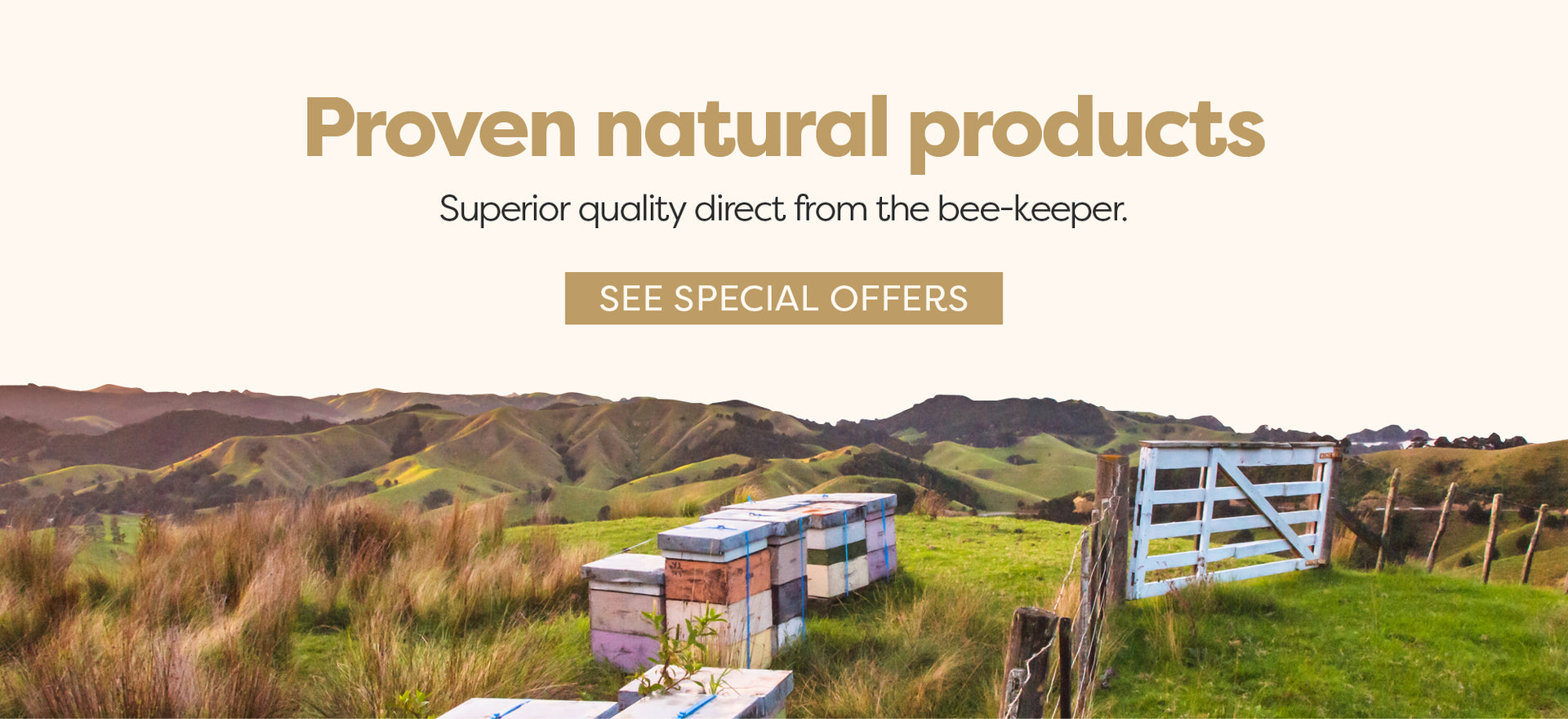 Superior Manuka Honey direct from the beekeeper