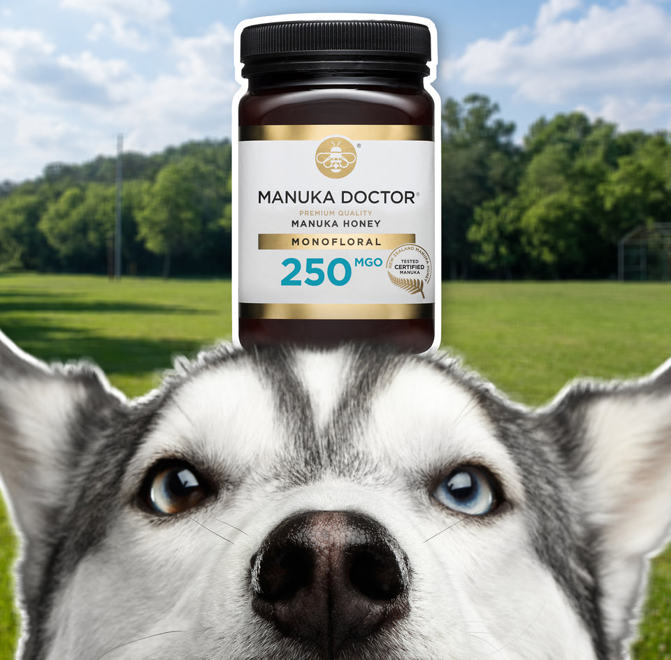 Manuka Honey for your dog