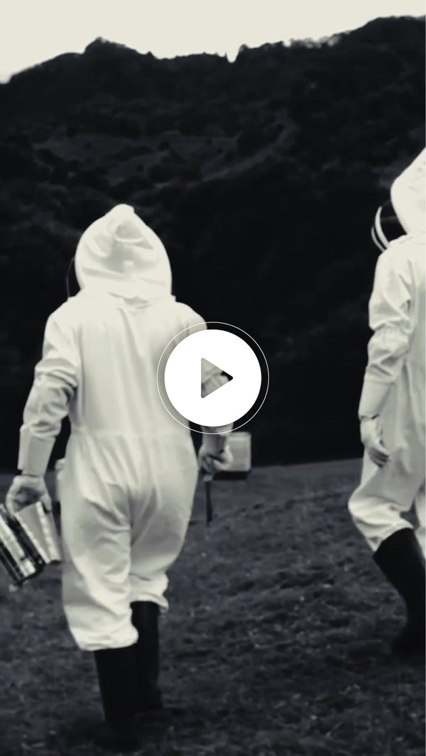 Pure, Natural Manuka Honey - Trusted by Holger Rune