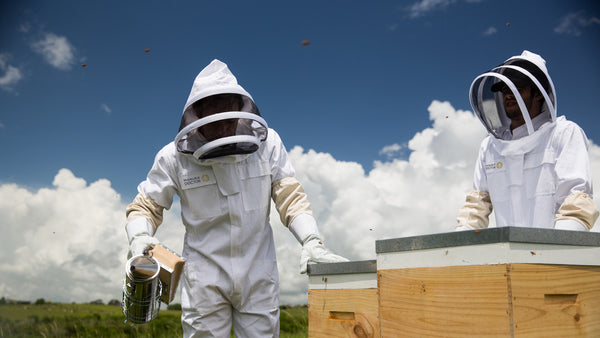 Manuka Doctor Manuka Honey
